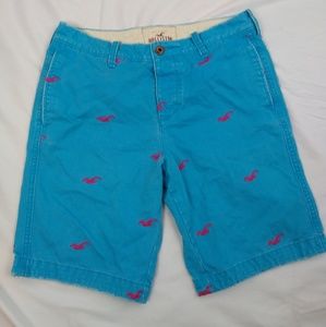 Men's Hollister light blue shorts size 30